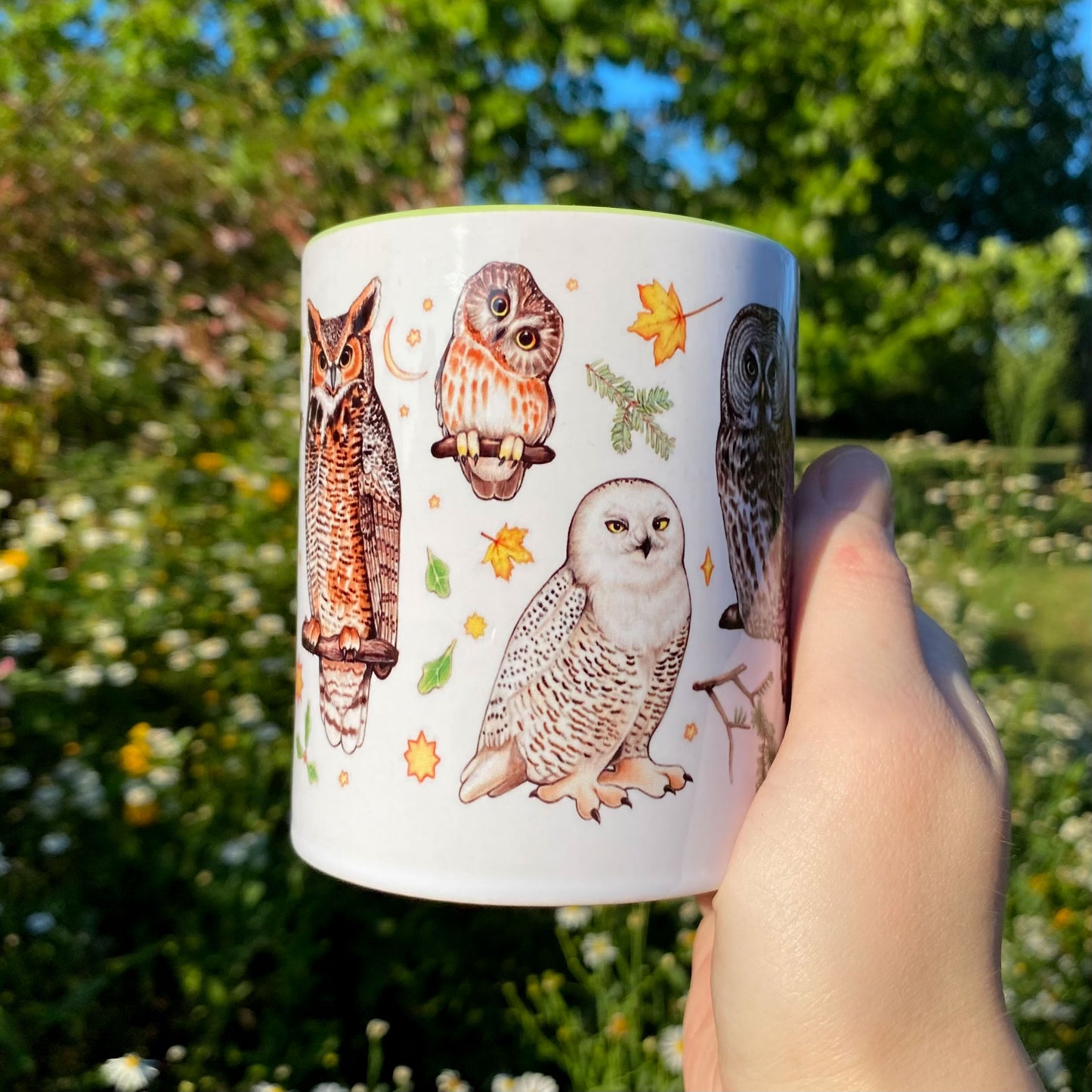 Owls of the Eastern United States Mug