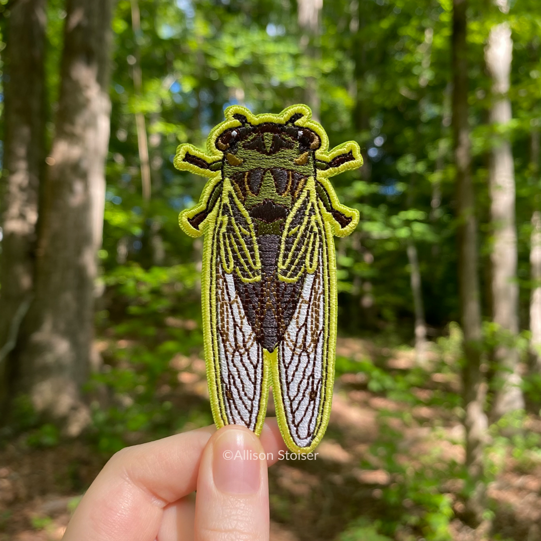A hand holding an embroidered patch of a green Linne's cicada.
