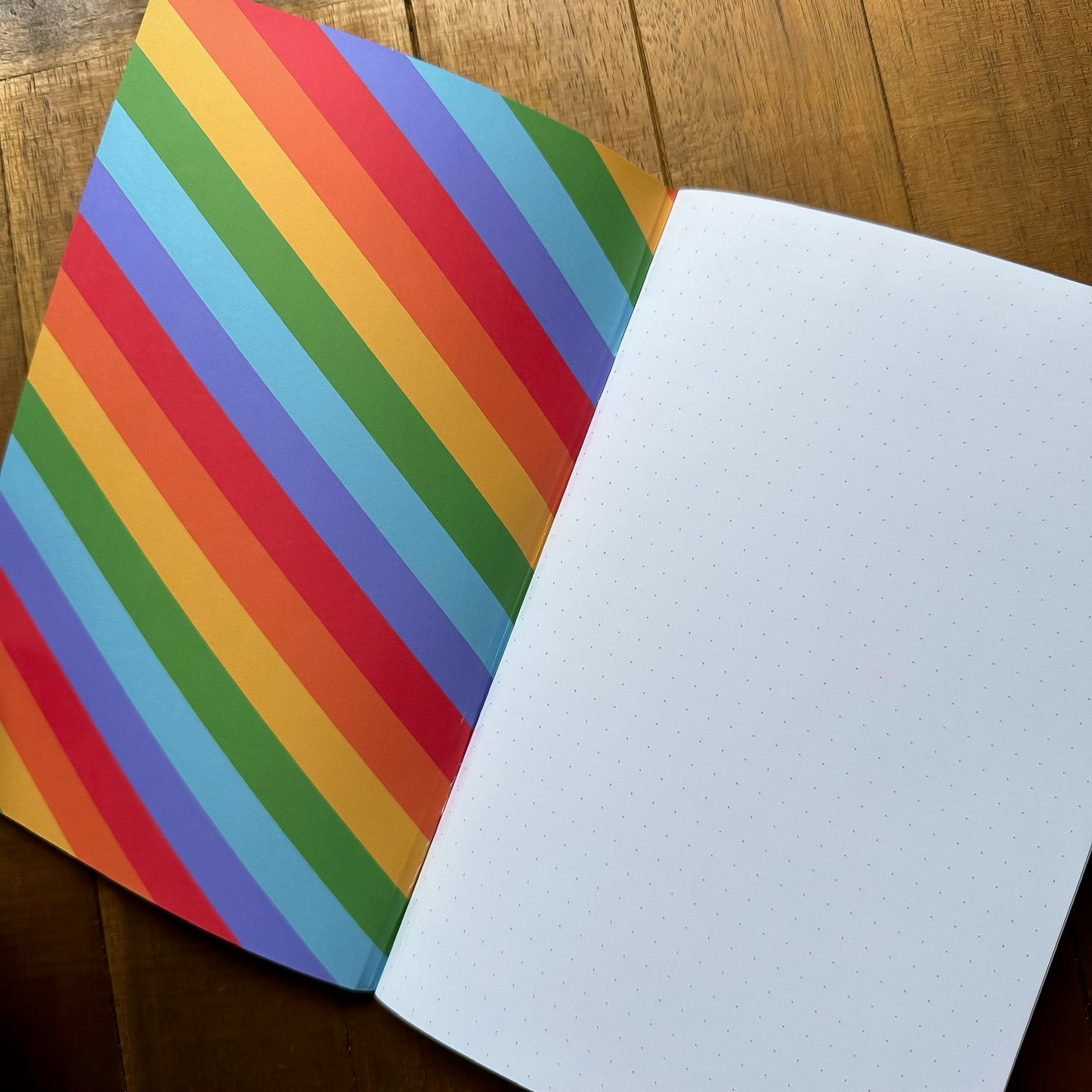 Rainbow Insects Handmade 5" x 8" Journal (Dotted)