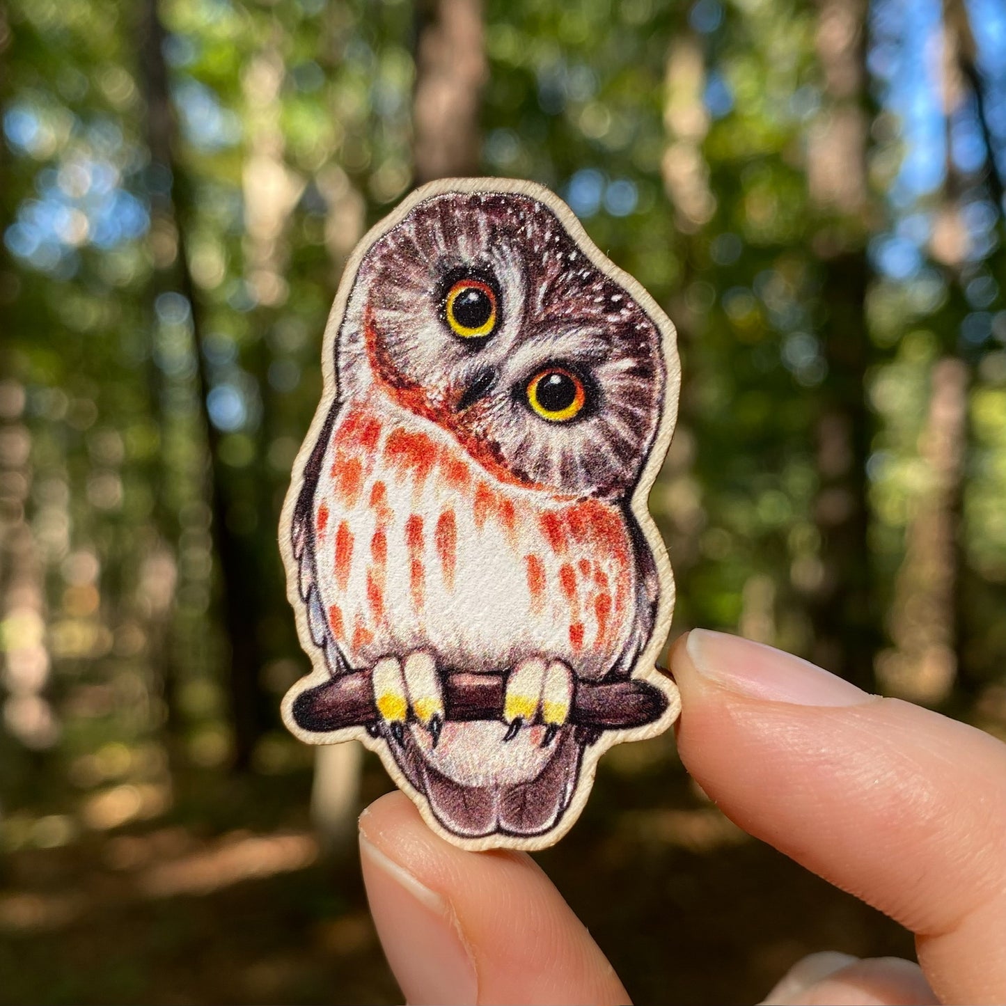 A saw-whet owl pin