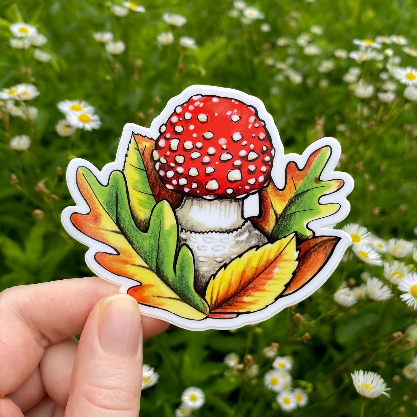 Sticker of a red fly agaric mushroom held in front of a green field with white flowers.