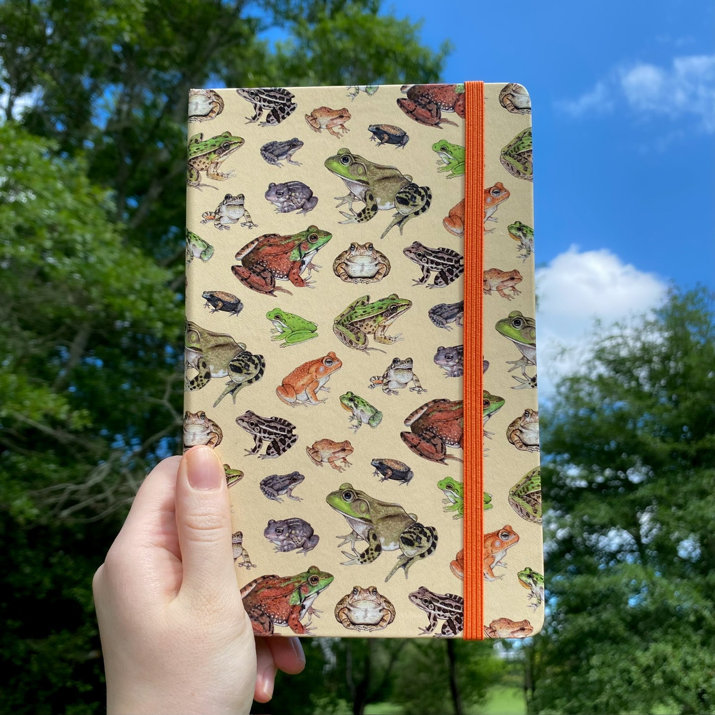 Frogs and Toads Journal