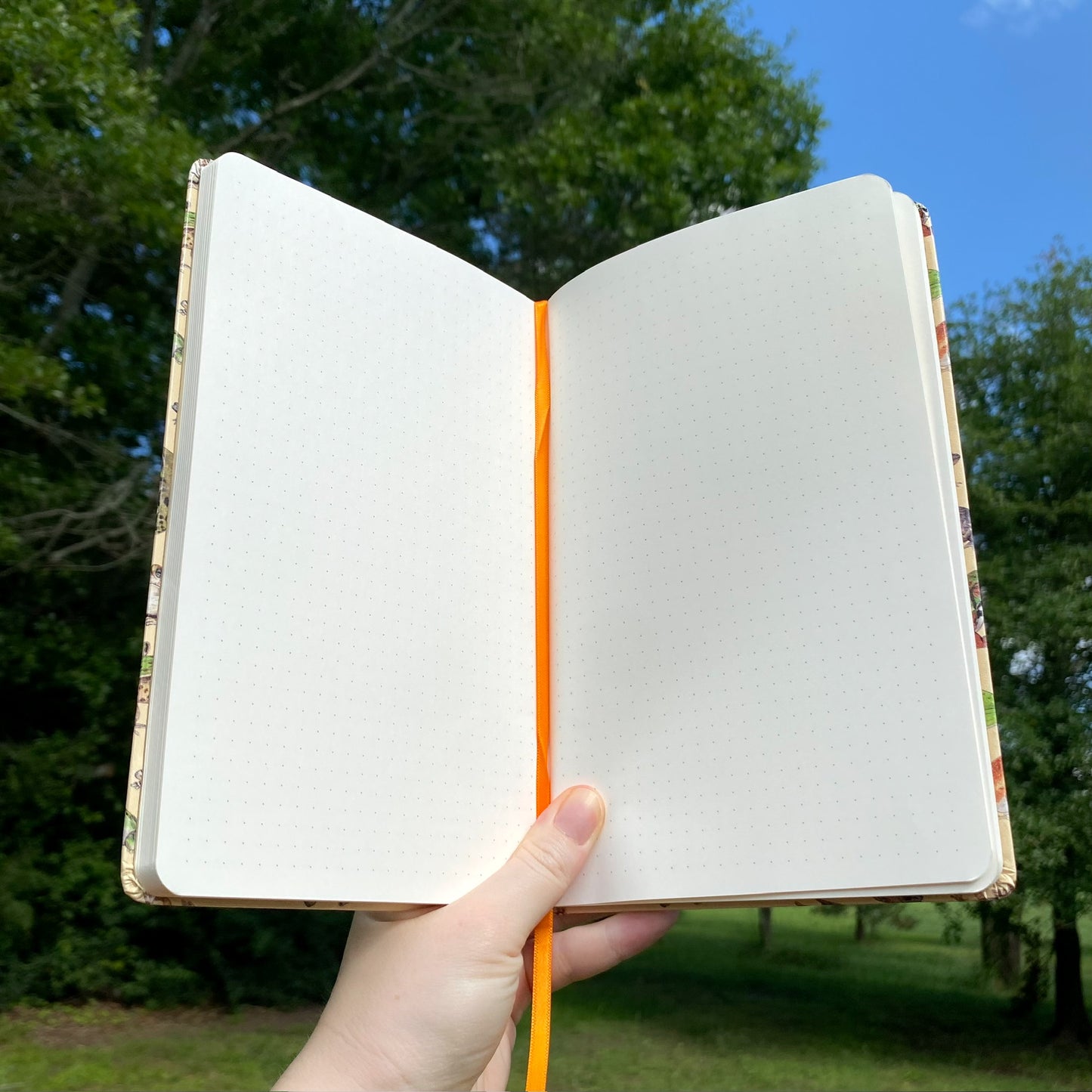 Frogs and Toads Journal