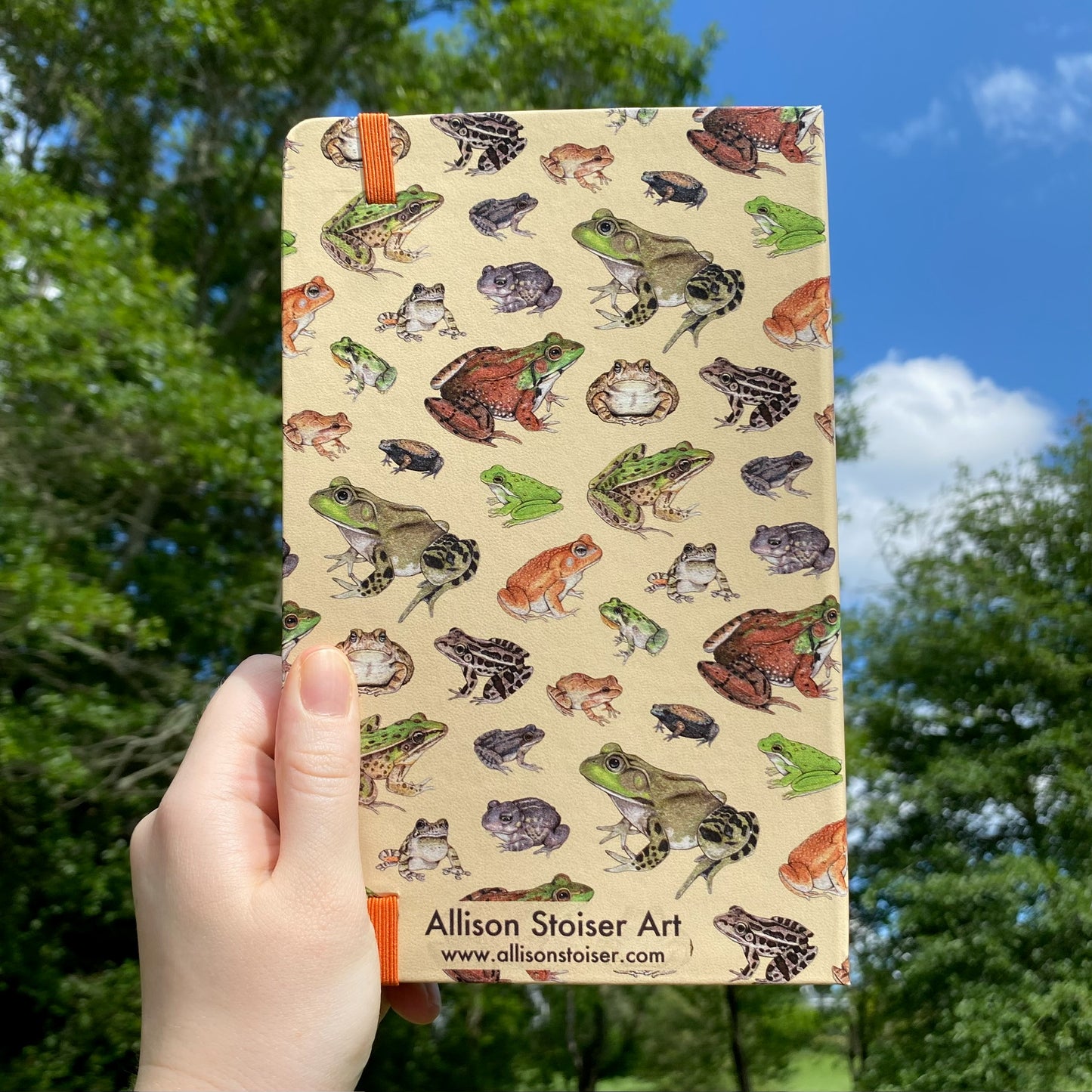 Frogs and Toads Journal
