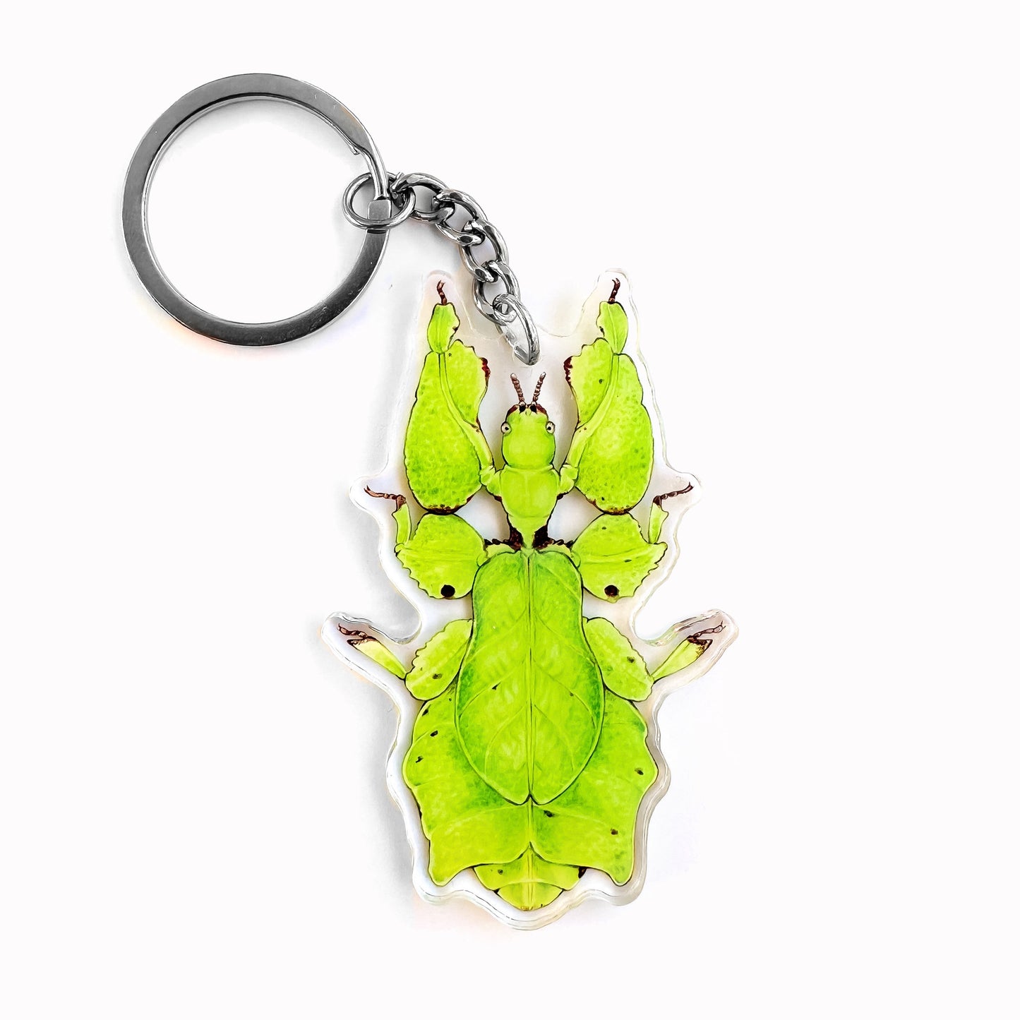 Double-sided acrylic keychain featuring an illustration of a green giant Malaysian leaf insect.