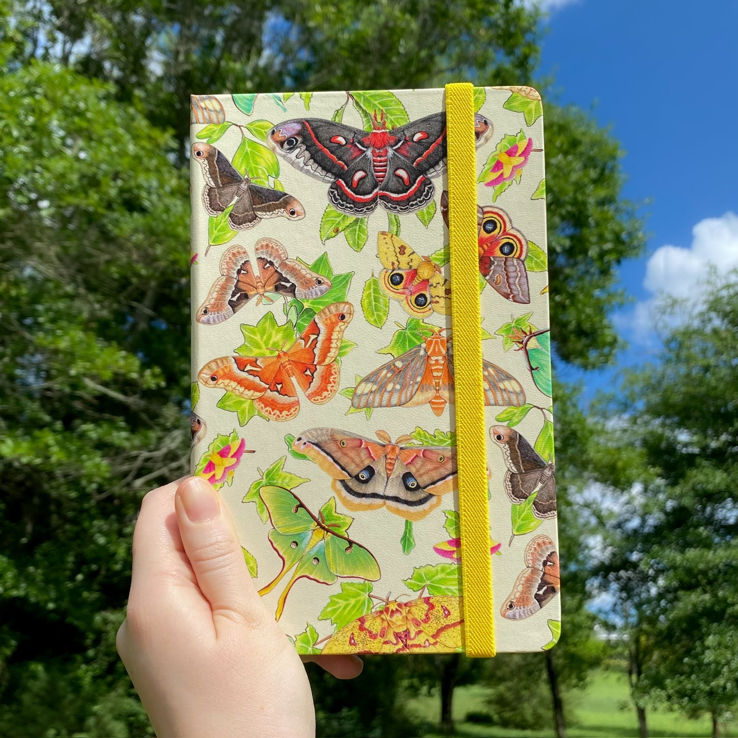 Giant Silkmoths Journal