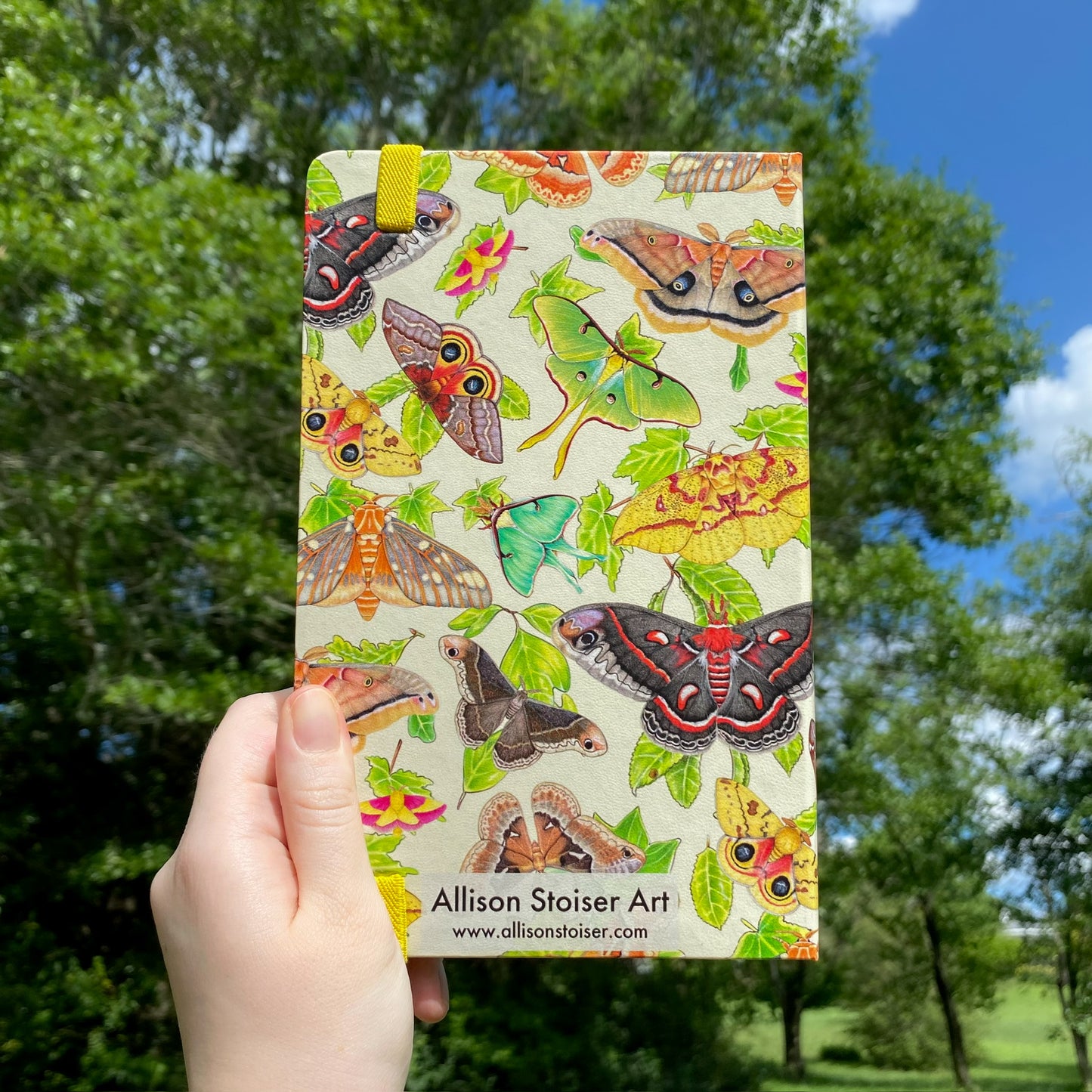Giant Silkmoths Journal