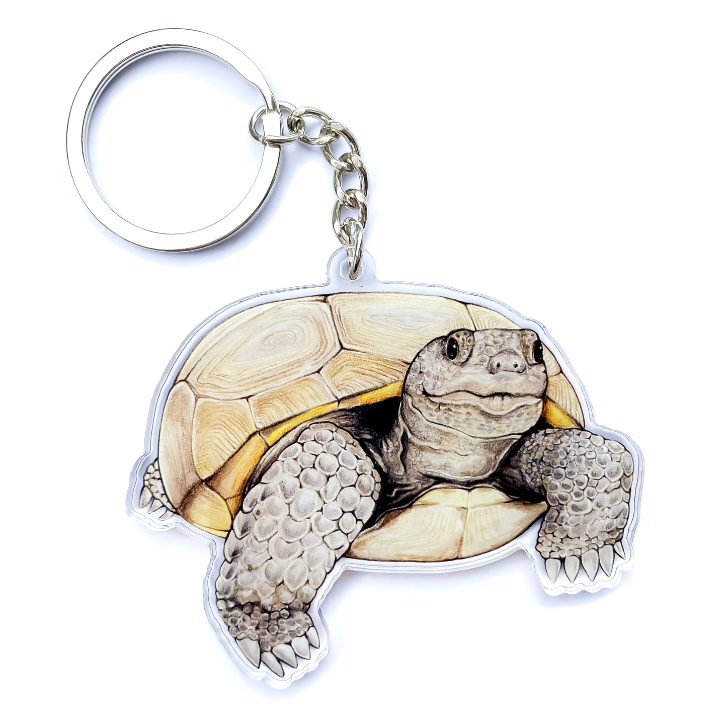 Gopher tortoise keychain on a white background
