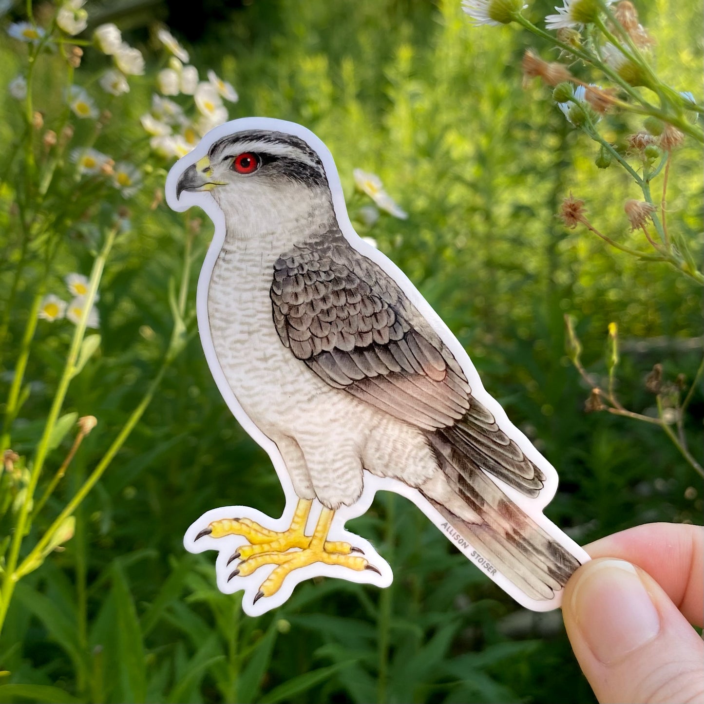 Vinyl sticker of a goshawk held in front of a background with flowers
