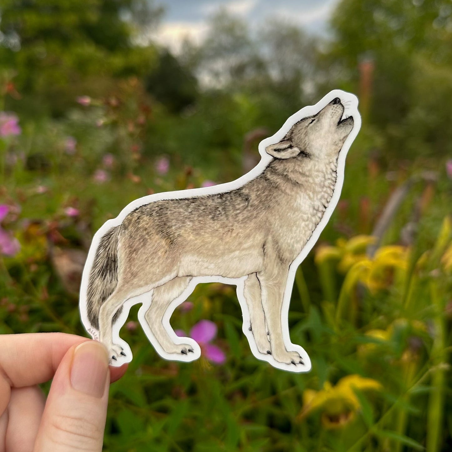A die-cut vinyl sticker of a howling gray wolf with a white border, held by a person's hand against a blurred green garden background.