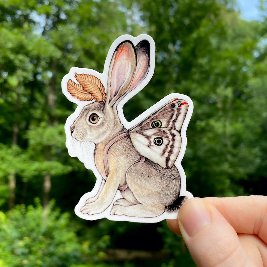 A hand holding a weatherproof vinyl sticker of a black-tailed jackrabbit with greasewood silkmoth wings.