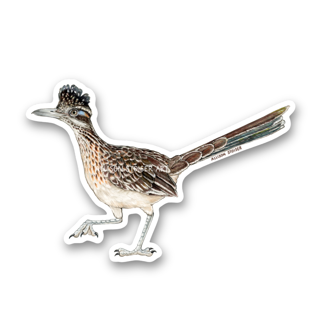 A die-cut sticker featuring an illustrated roadrunner, shown on a plain white background.