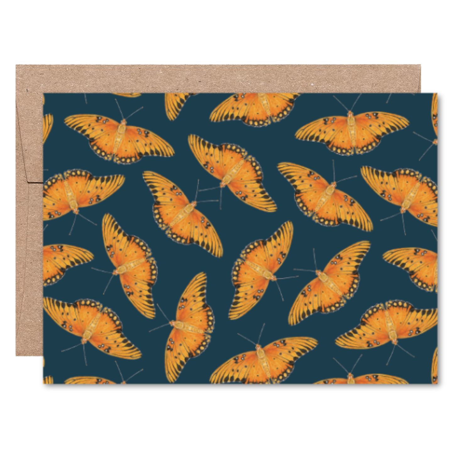 Moths and Butterflies Boxed Card Set