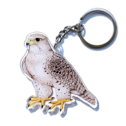 A double-sided acrylic keychain featuring an illustration of a gyrfalcon, a large falcon species, in a upright position with a metal ring on top.