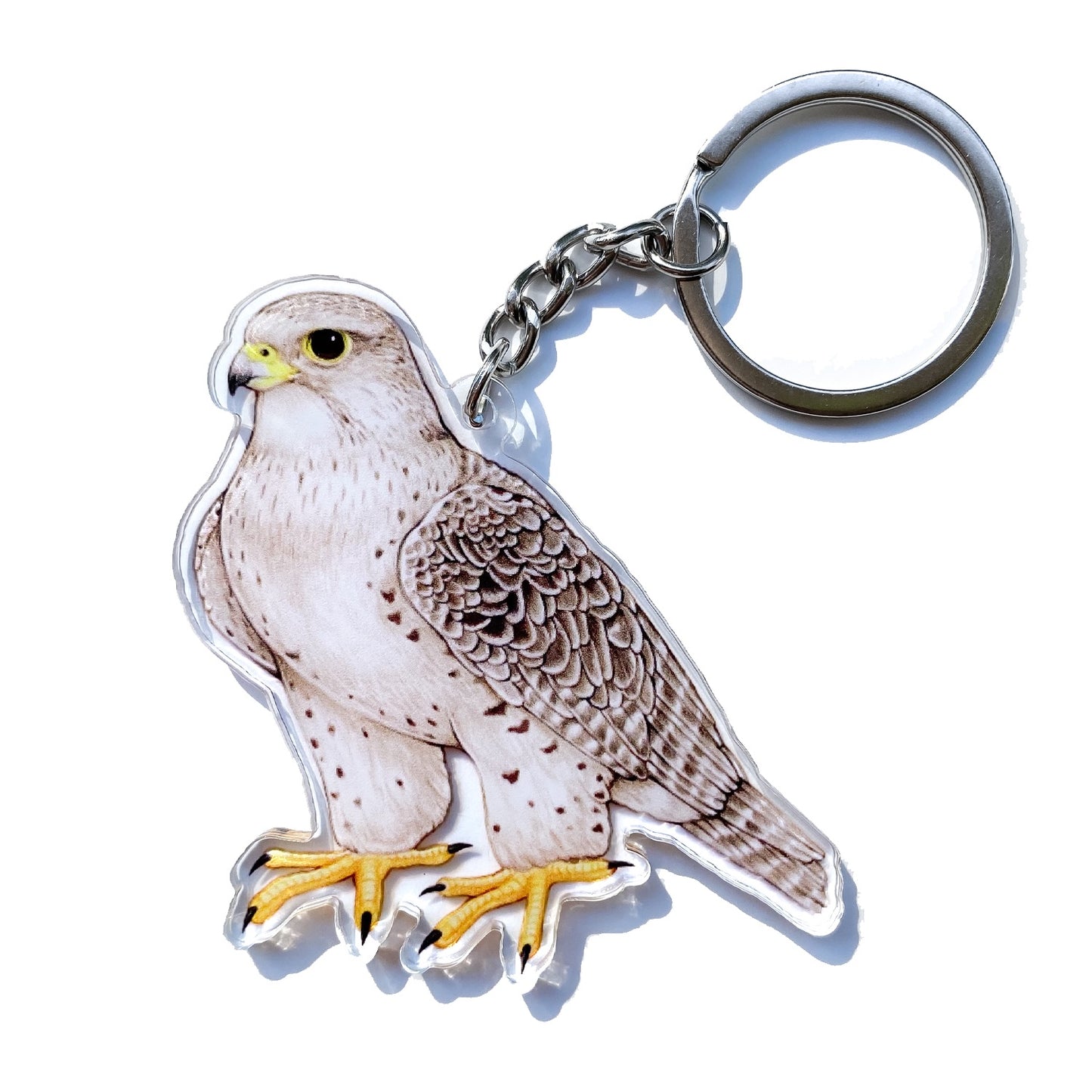 A double-sided acrylic keychain featuring an illustration of a gyrfalcon, a large falcon species, in a upright position with a metal ring on top.