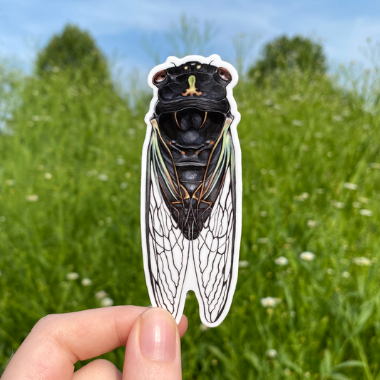 Dark Lyric Cicada Weatherproof Vinyl Sticker