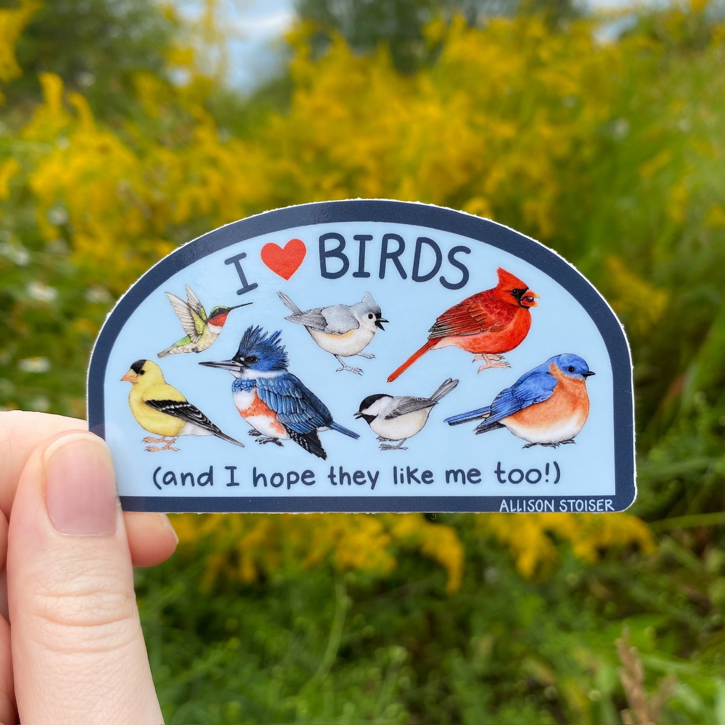 Sticker with bird illustrations and text that reads 'I <3 Birds and I hope they like me too!' held in front of a natural background
