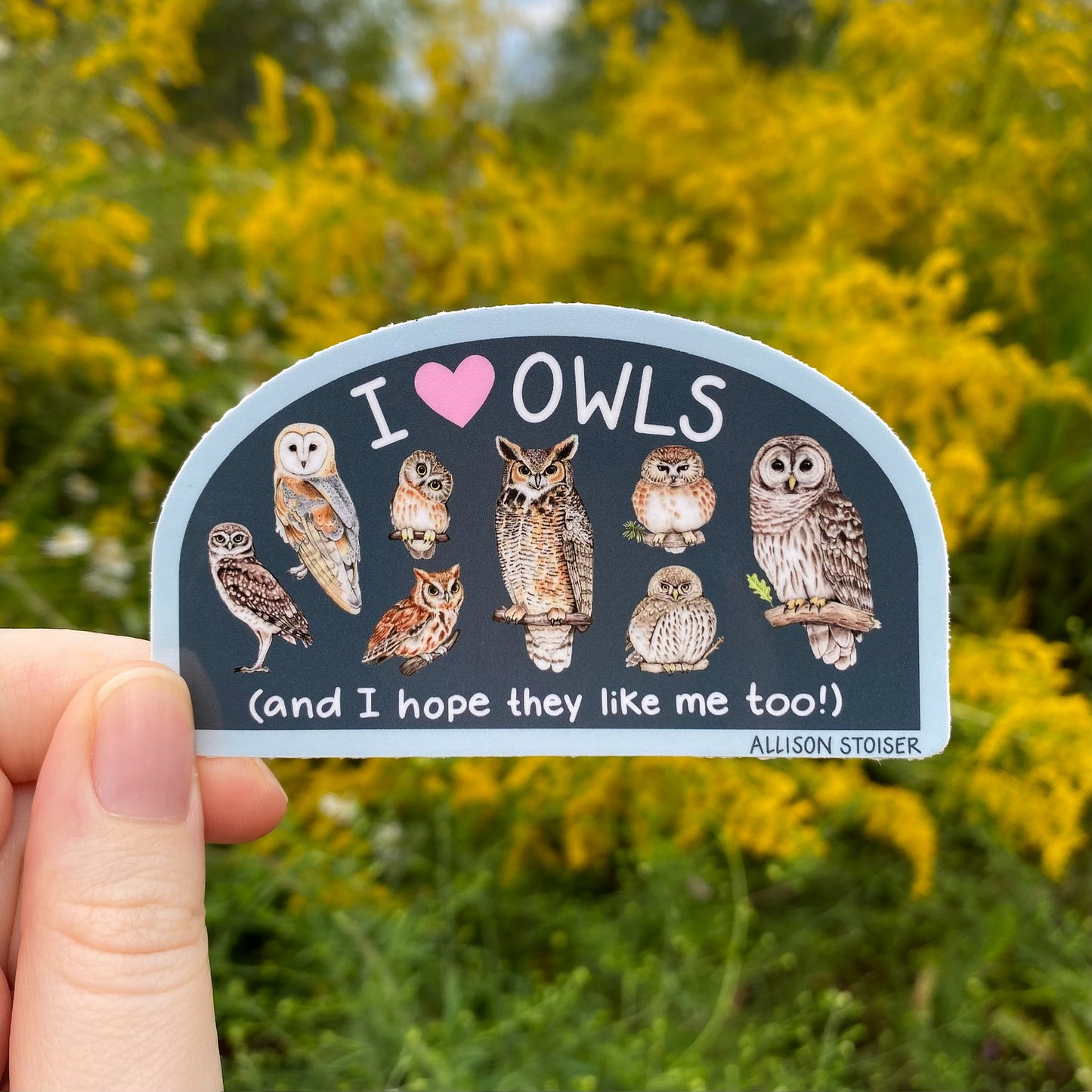 Sticker with owl illustrations and text that reads 'I ❤️ Owls and I hope they like me too!' held in front of a natural background