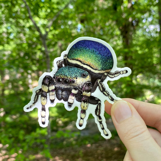A hand holding a vinyl sticker of a green jumping spider