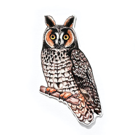 Long-eared Owl Weatherproof Vinyl Sticker