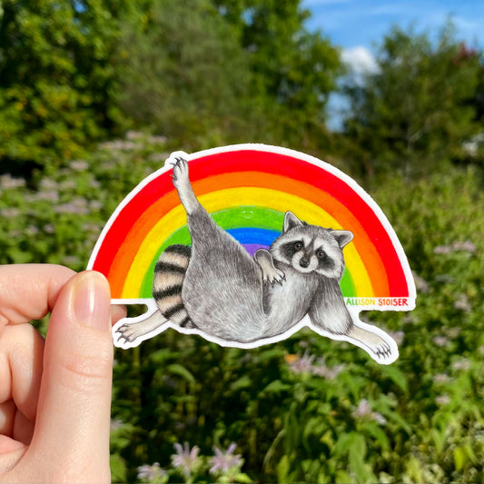 Sticker of a raccoon on a rainbow held by a hand with a natural background