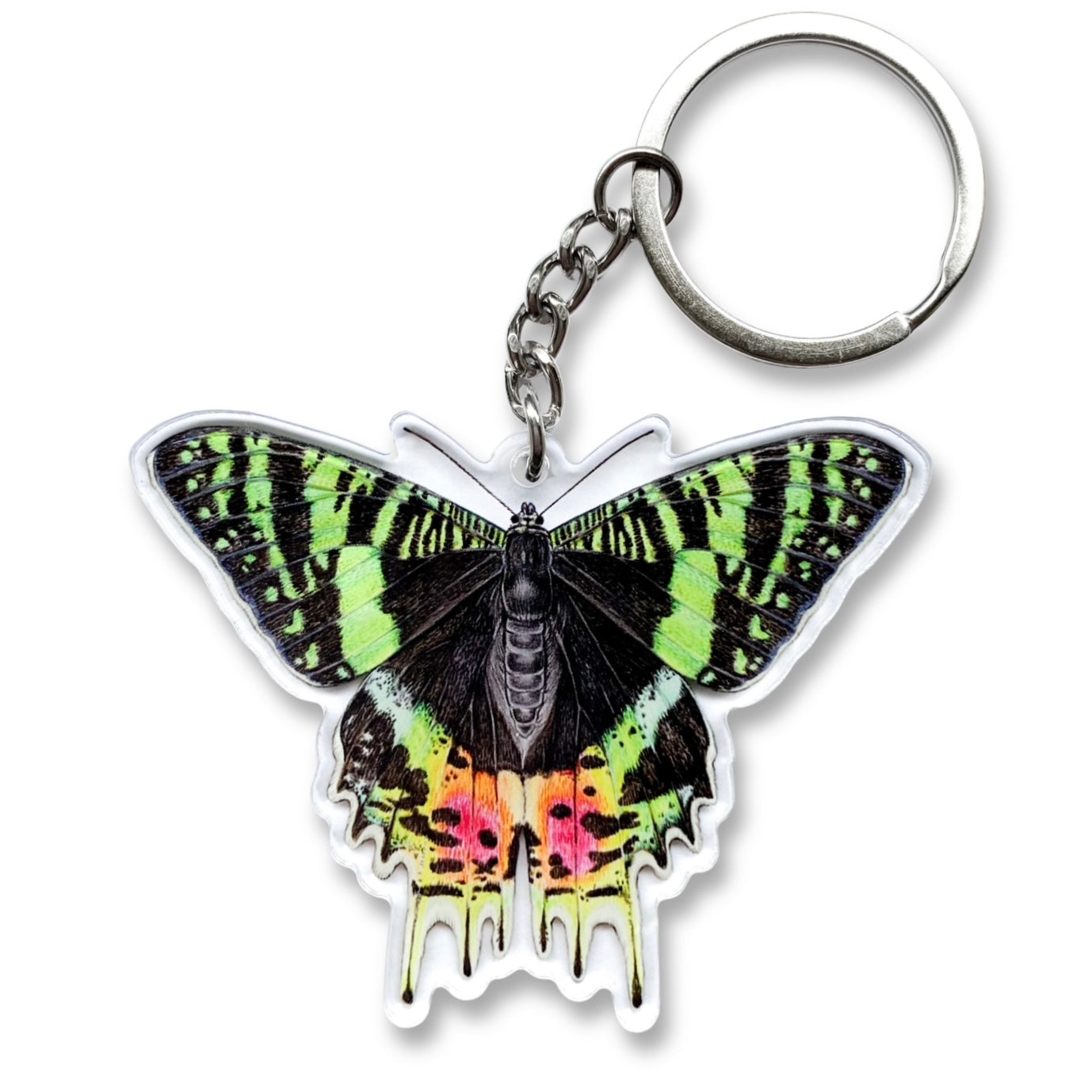 Madagascan sunset moth keychain on a white background