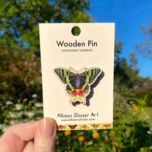 Wooden pin of a Madagascan sunset moth on a card held in front of a natural background with trees and flowers.