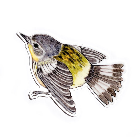 A sticker of a magnolia warbler on a white background.