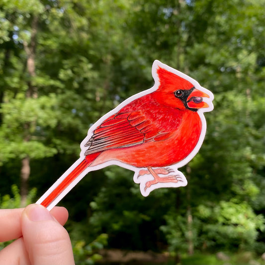 A hand holding a sticker featuring an illustration of a male northern cardinal