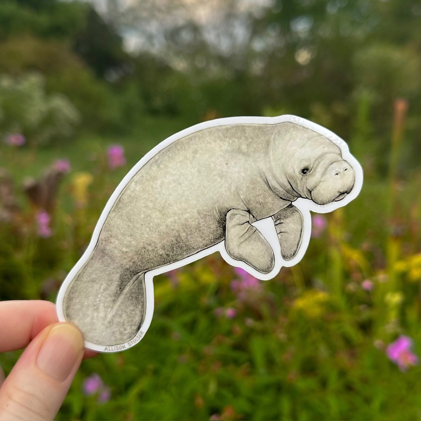 A die-cut sticker of a gray manatee held by hand against a blurred green outdoor background with pink flowers.
