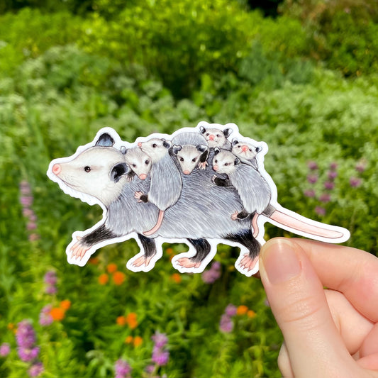 mom opossum with babies weatherproof vinyl sticker