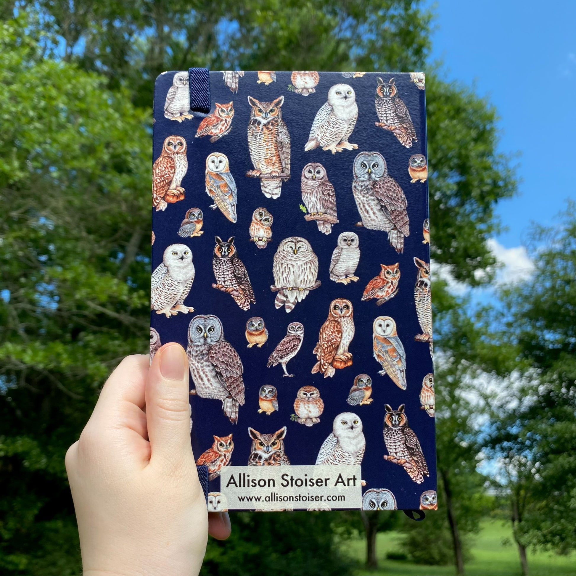 North American Owls Journal rear