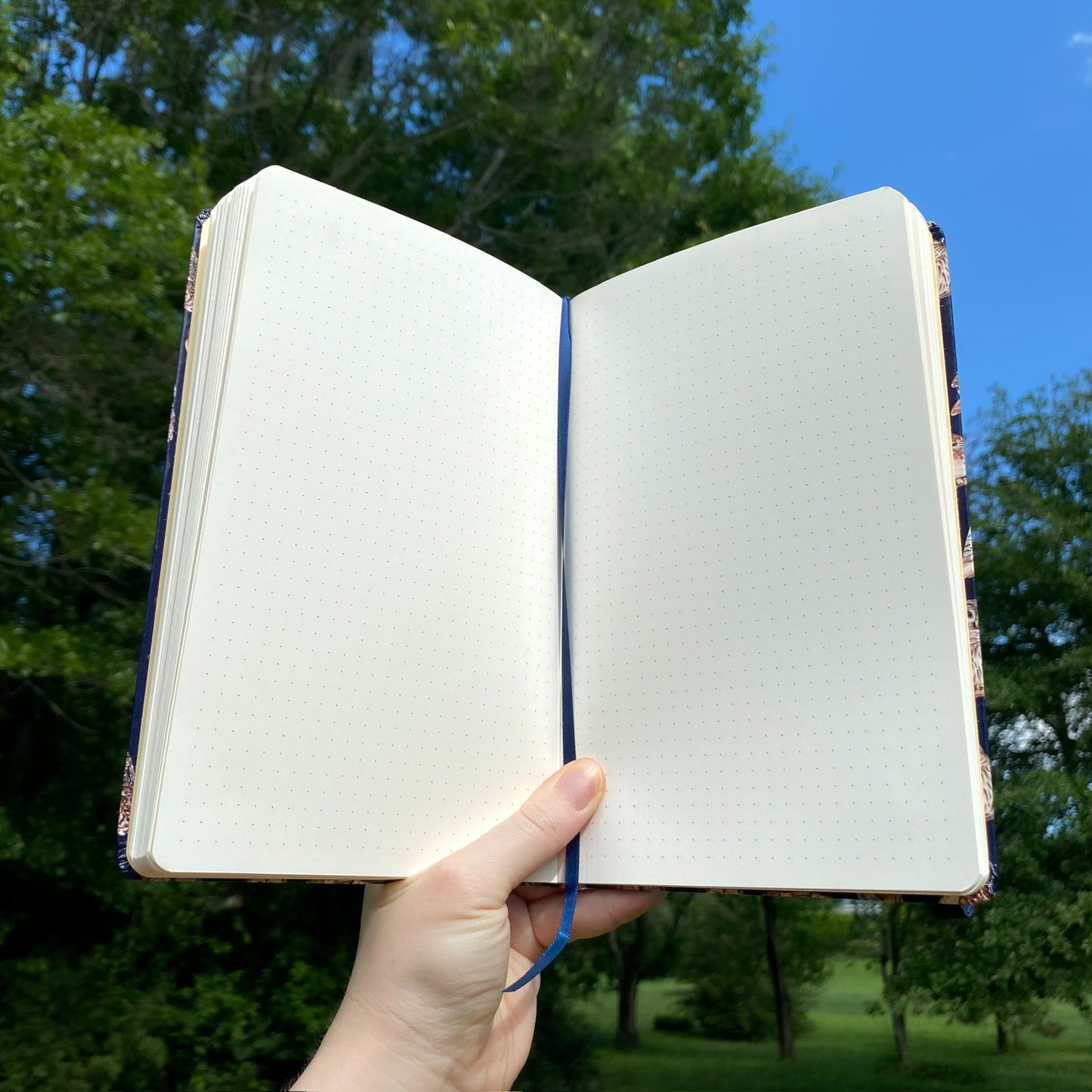 North American Owls Journal interior