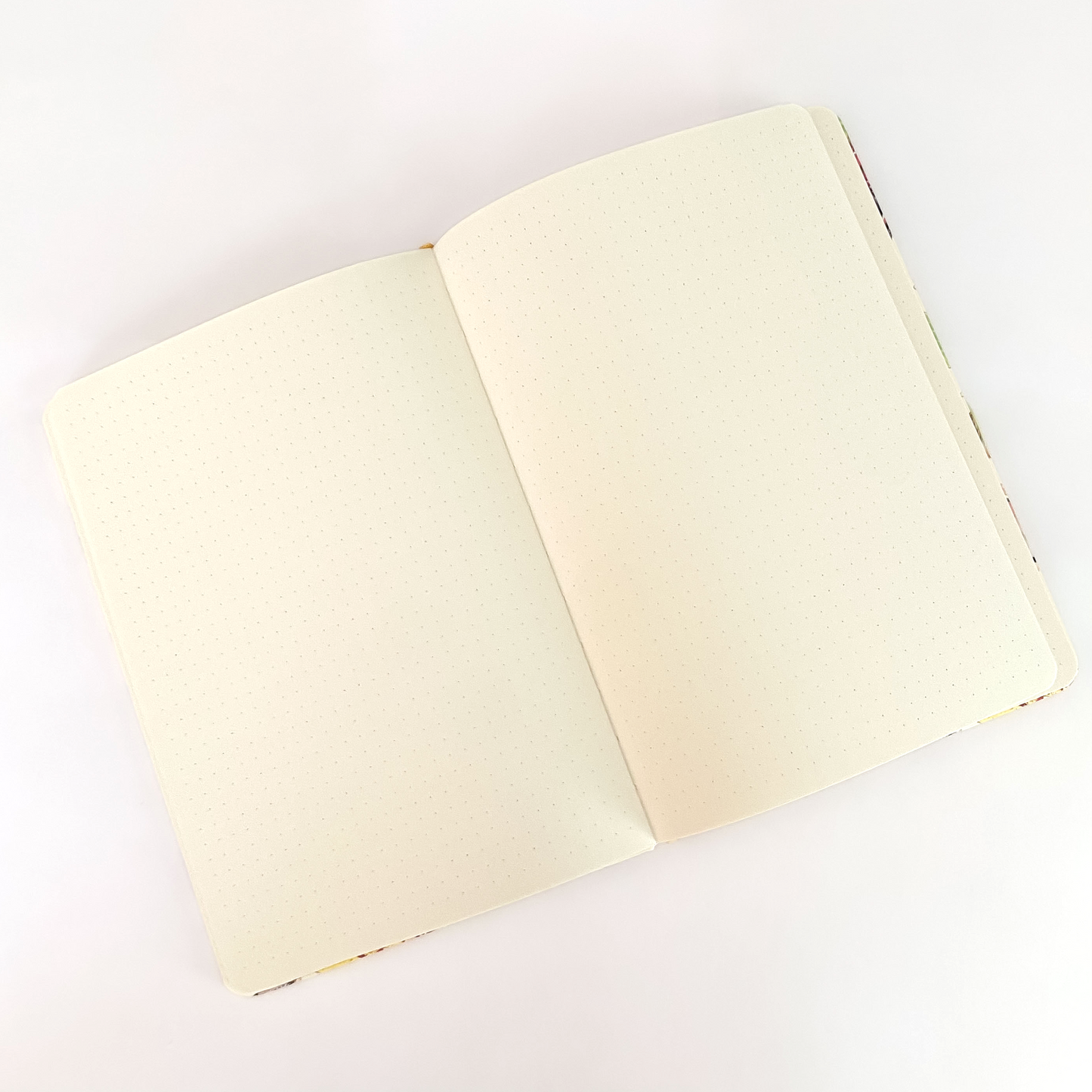 Open notebook with dot grid ivory-colored pages on a white background