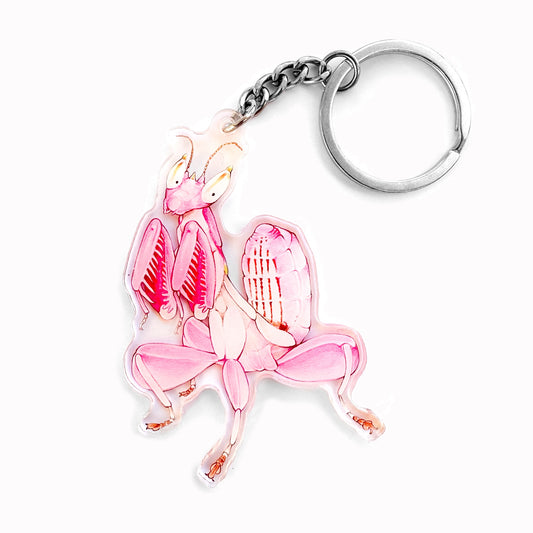A double-sided acrylic keychain featuring an illustration of an orchid mantis in pink color.