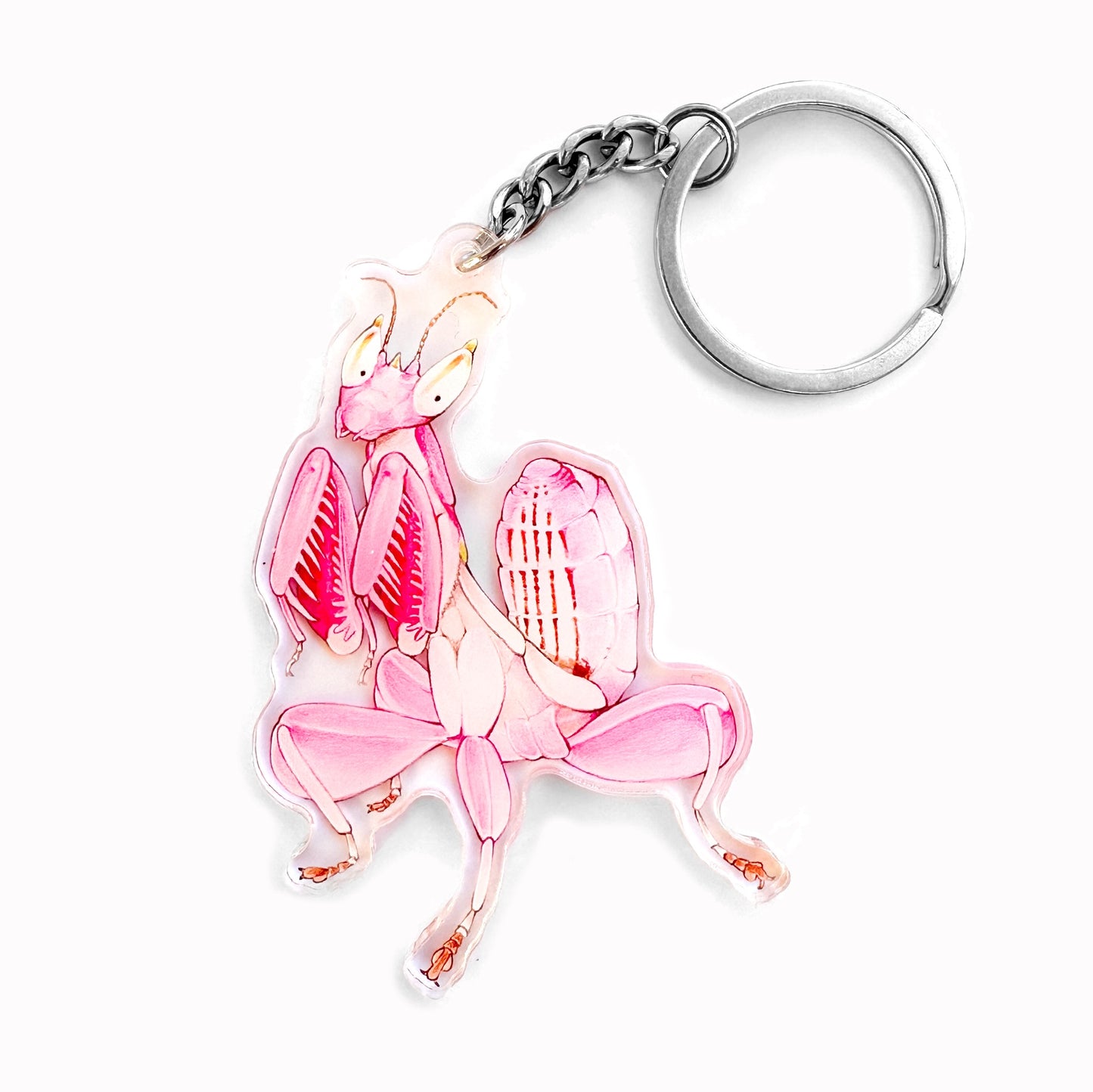 A double-sided acrylic keychain featuring an illustration of an orchid mantis in pink color.