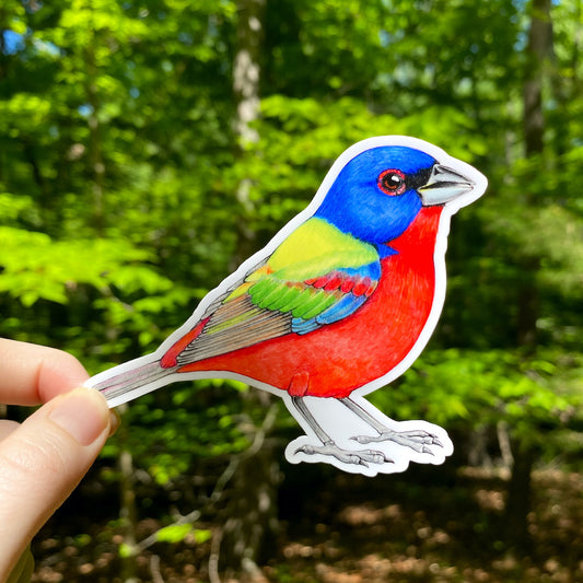 A hand holding a weatherproof vinyl sticker of a painted bunting.