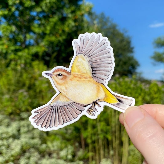 A vinyl sticker of a palm warbler bird in flight with a blurred natural background.