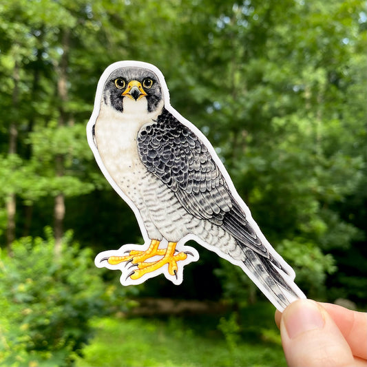 A hand holding a sticker of a peregrine falcon.