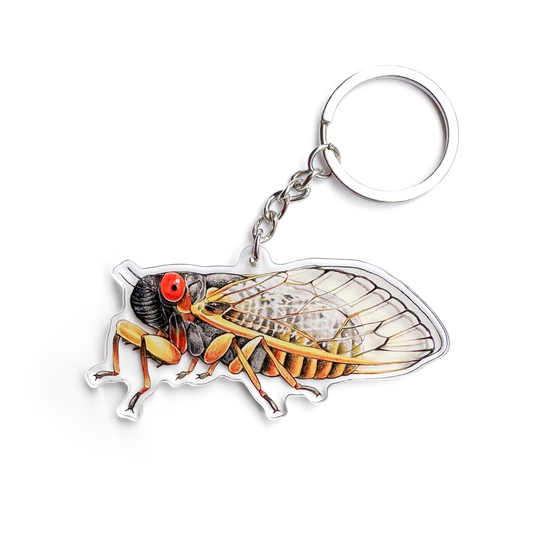 Periodical Cicada Keychain