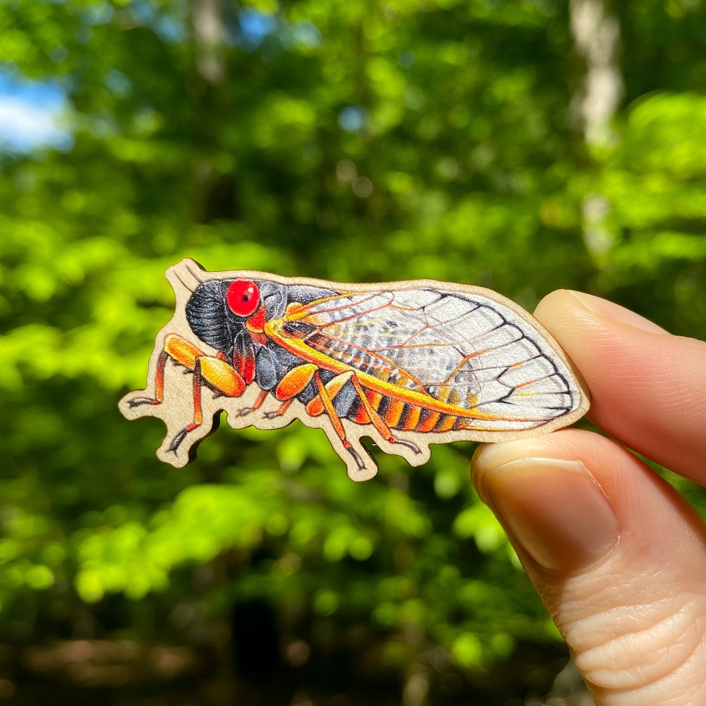 A hand holding a wooden pin of a periodical cicada.