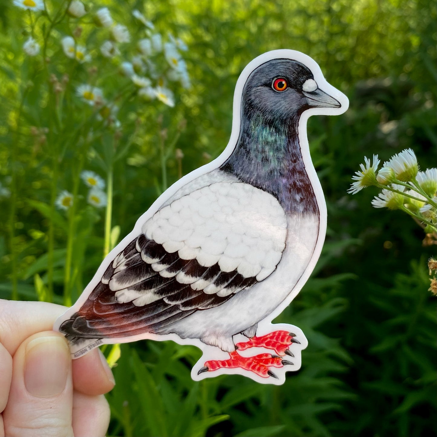 Vinyl sticker of a pigeon held in front of a background with flowers