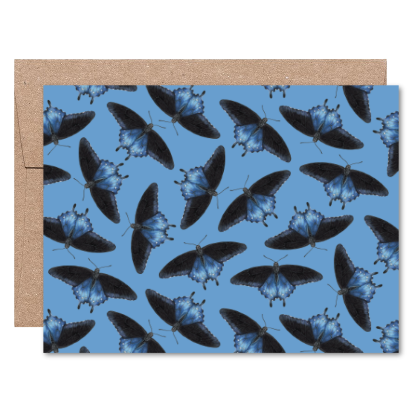 Moths and Butterflies Boxed Card Set