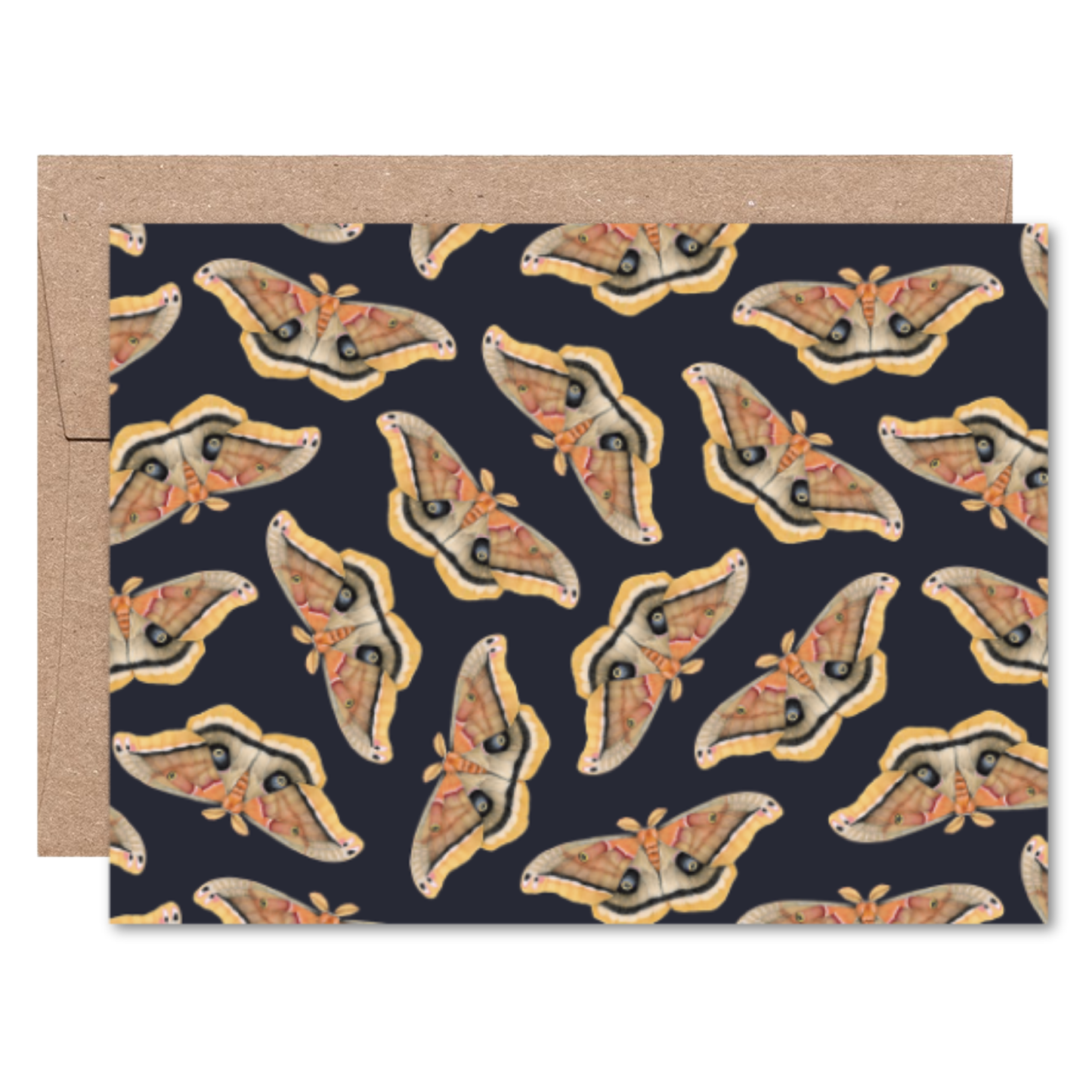 Moths and Butterflies Boxed Card Set