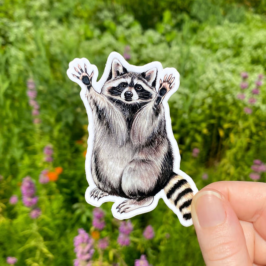 raccoon weatherproof vinyl sticker
