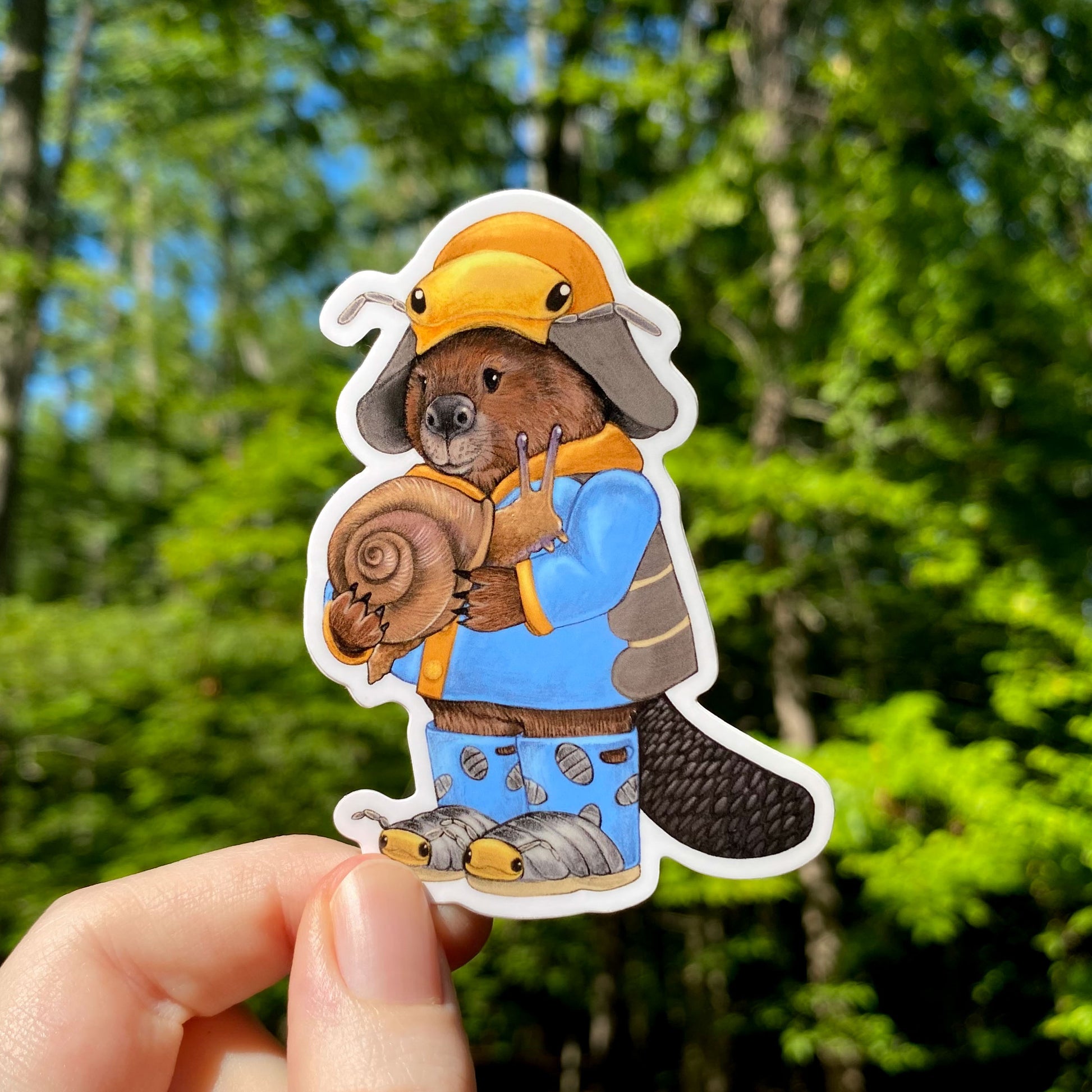 A sticker of a beaver in a blue rain coat and rain boots holding a snail.