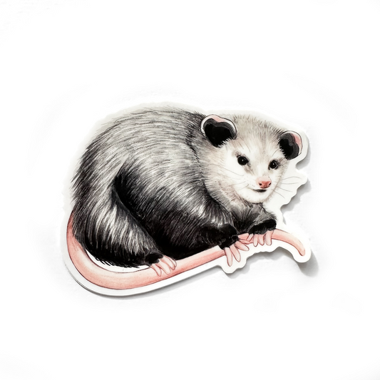 Randall the Opossum Weatherproof Vinyl Sticker