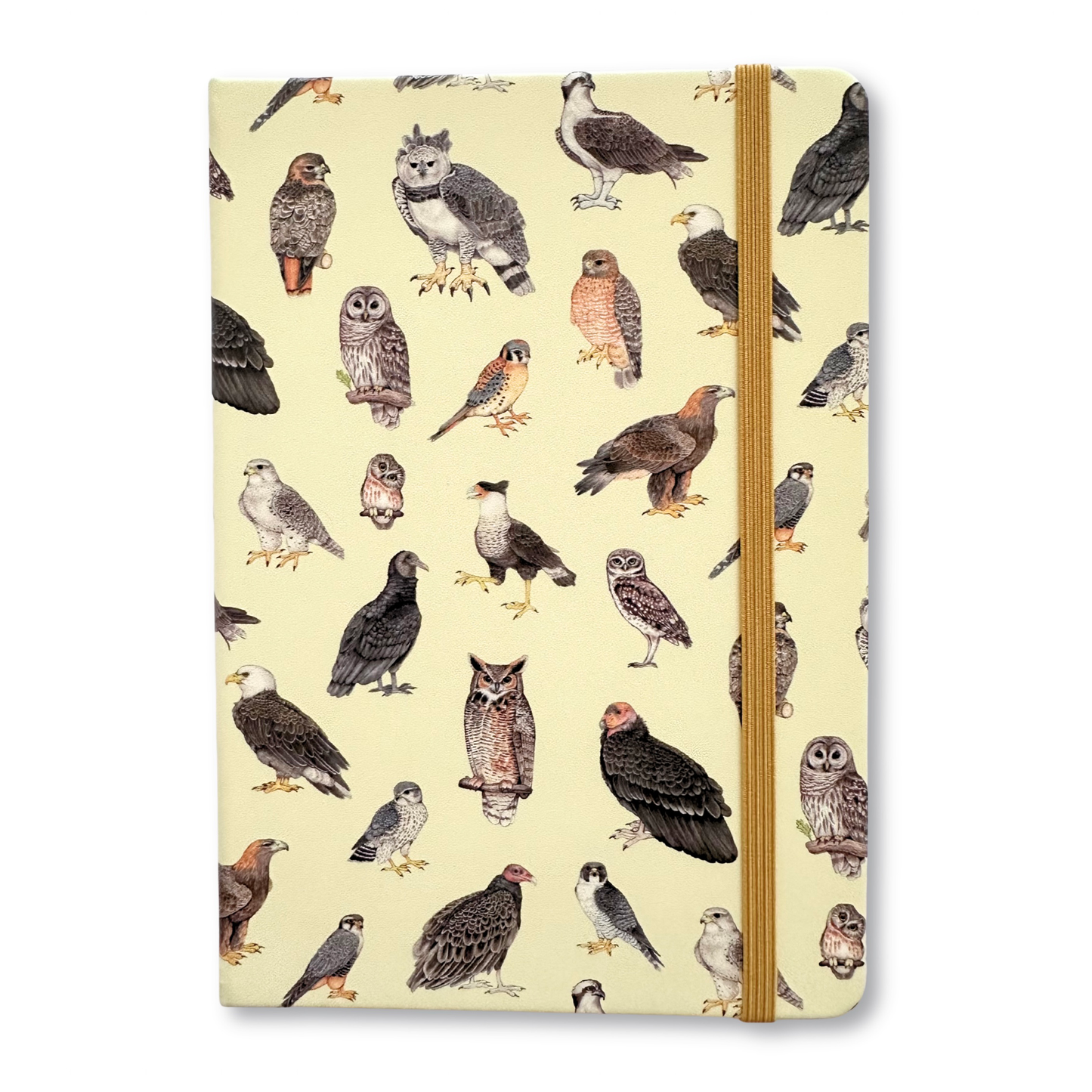 Notebook with raptor illustrations on a beige background. It includes hawks, owls, and eagles.