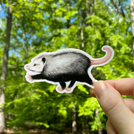 A hand holding a sticker of an opossum trotting to the left