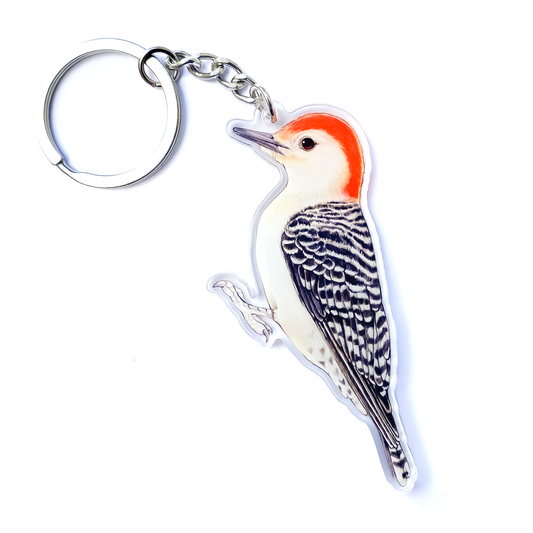 A keychain of a red-bellied woodpecker
